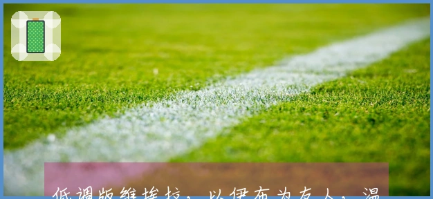 低调版维埃拉，以伊布为友人，温格两度招揽，但穆里尼奥不欣赏